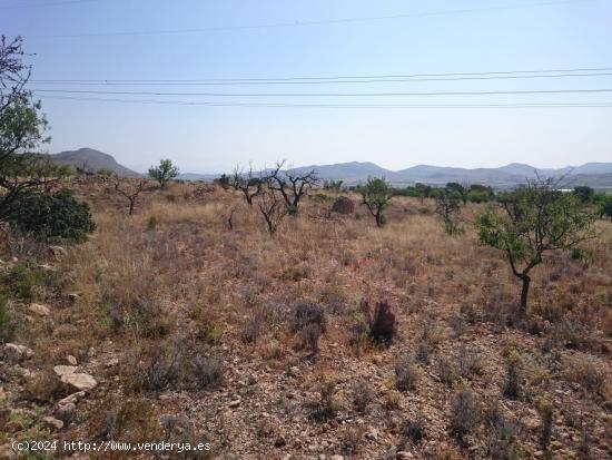 TERRENO EN HONDON DE LAS NIEVES - ALICANTE