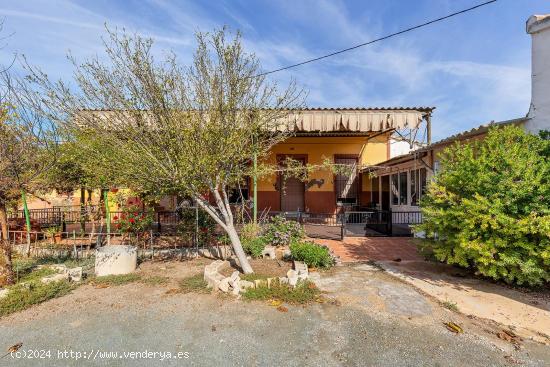 Casa rústica con terreno de 5.000 metros - ALICANTE