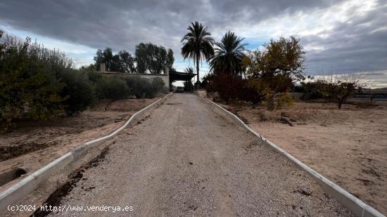  ¡EXCLUSIVO TERRENO RÚSTICO CON CASA EN CAÑADA HERMOSA, MURCIA! - MURCIA 