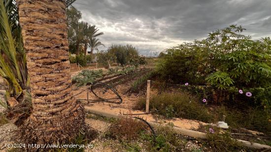 ¡EXCLUSIVO TERRENO RÚSTICO CON CASA EN CAÑADA HERMOSA, MURCIA! - MURCIA