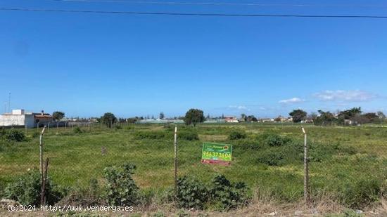 MAGNIFICA PARCELA EN CAMINO PISTA DE MONTIJO, CHIPIONA - CADIZ