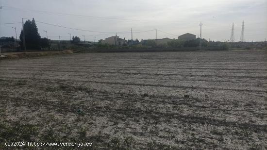 PARCELA RUSTICA PARA CULTIVO - GRANADA