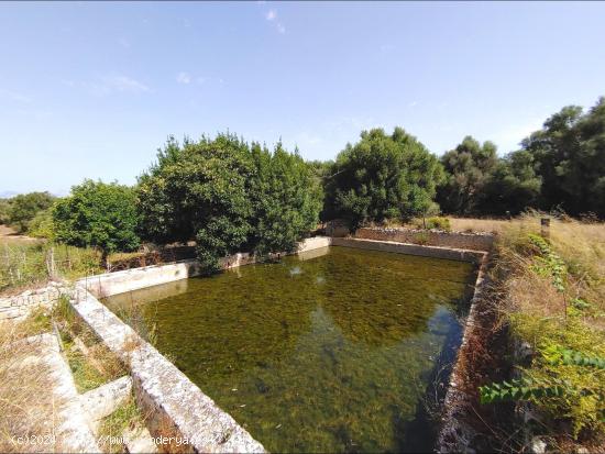 Gran masía de 2.000 m² para restaurar con 55 Ha de terreno en Algaida - BALEARES