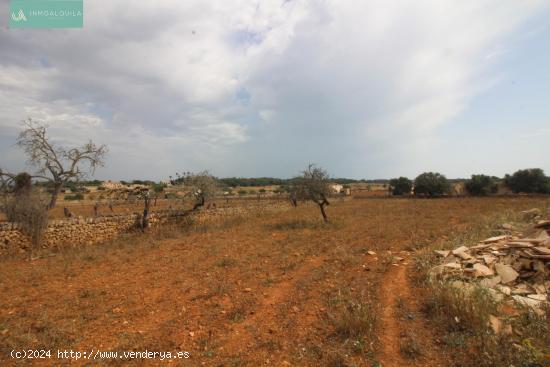 Finca Rústica con Proyecto y Licencia - BALEARES