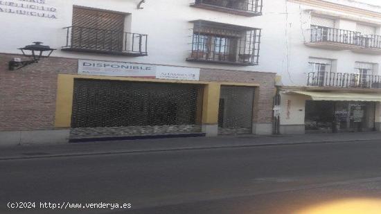 GRAN LOCAL EN LA ZUBIA!! - GRANADA