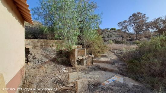 Terreno de 2 hectareas en Los Arejos - MURCIA