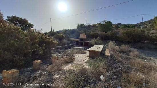 Terreno de 2 hectareas en Los Arejos - MURCIA