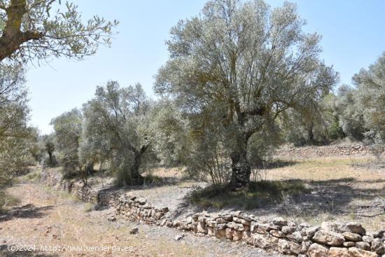 Finca rústica en Lledo - TERUEL