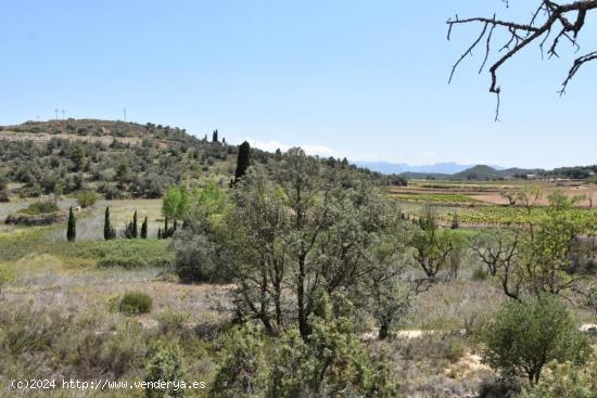 Finca rústica en Lledo - TERUEL