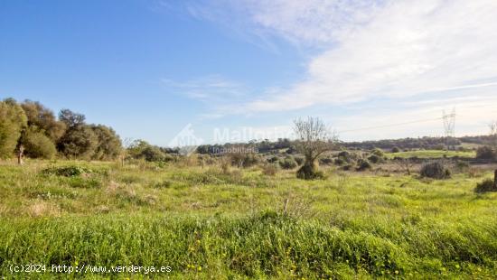 Se Vende en Muro - BALEARES