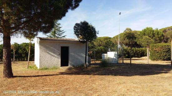 PRECIOSO CHALET CON IMPRESIONANTE TERRENO - ZAMORA