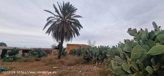 Finca rústica edificable en Campos - BALEARES