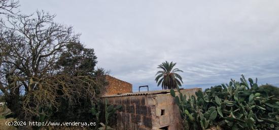 Finca rústica edificable en Campos - BALEARES