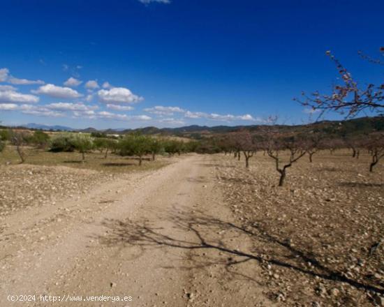 Se Vende en Lorca - MURCIA