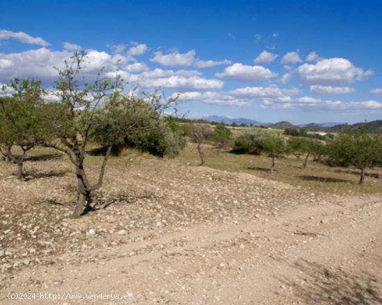 Se Vende en Lorca - MURCIA