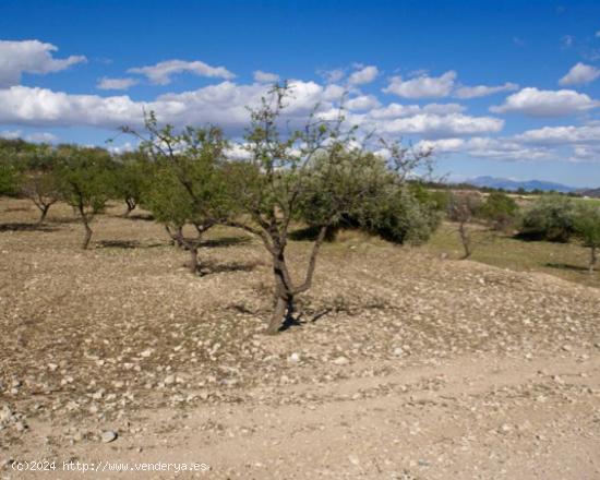 Se Vende en Lorca - MURCIA