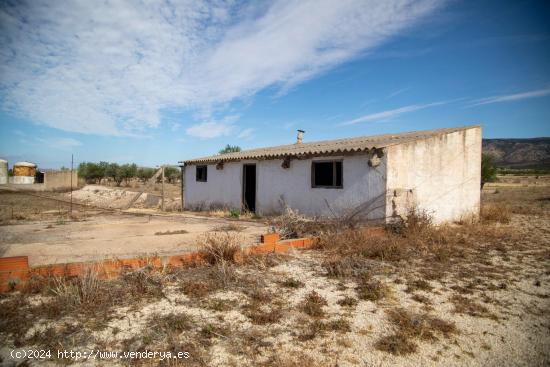 CASA CUEVA + CASA CON TERRENO y PISCINA + BODEGA todo en la misma finca - MURCIA