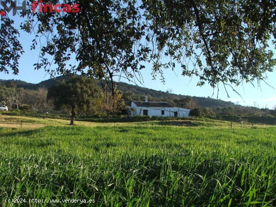  🌿🏡 ¡Impresionante Finca en Venta en El Pedroso, Sevilla! 🐑🌳 - SEVILLA 