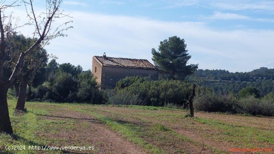  Finca en venta en Mazaleón (Teruel) 