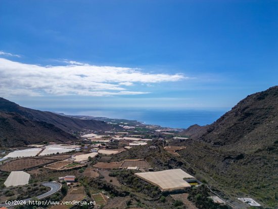 Finca en venta en Santiago del Teide (Tenerife)