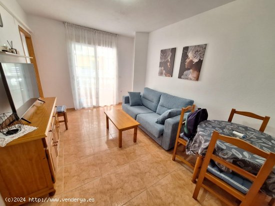  Apartamento en alquiler en Torrevieja (Alicante) 