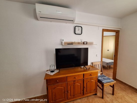 Apartamento en alquiler en Torrevieja (Alicante)