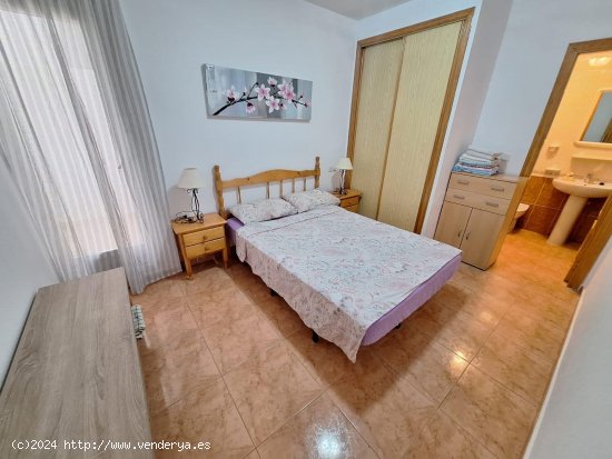 Apartamento en alquiler en Torrevieja (Alicante)