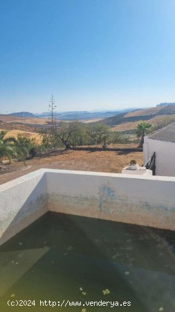 Finca en venta en Ardales (Málaga)