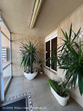 Piso en venta  en Pineda, La - Tarragona