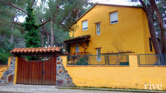 Casa-Chalet en Venta en Peñalba De Avila Ávila