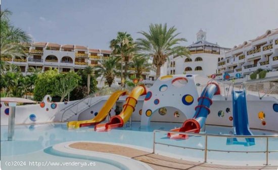 Estudio en Alquiler en Playa De Las Americas Santa Cruz de Tenerife SAN EUGENIO