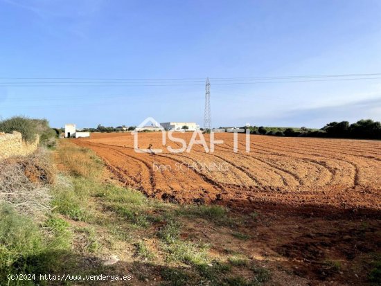 Terreno rustico de 3 hectáreas con pozo propio y aljibe en el sur de Ciutadella