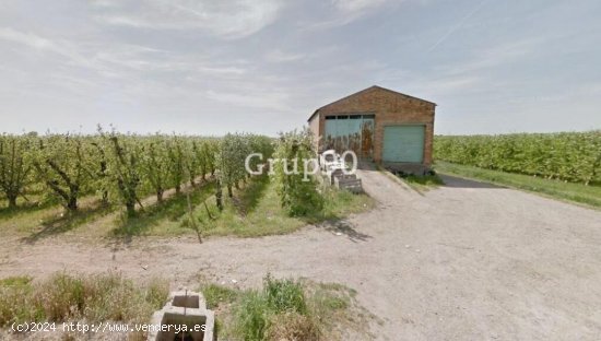 Finca de regadío con almacenes en venta en Alcoletge.