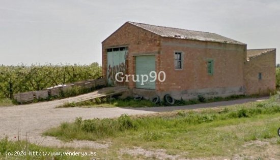 Finca de regadío con almacenes en venta en Alcoletge.