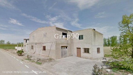 ¡Oportunidad única! Finca de regadío en venta en Alcoletge, Lleida