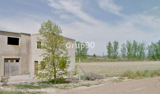 ¡Oportunidad única! Finca de regadío en venta en Alcoletge, Lleida