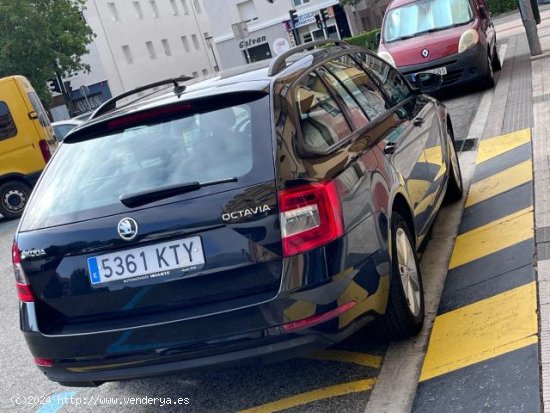 SKODA Octavia Station Wagon en venta en Pamplona/IruÃ±a (Navarra) - Pamplona/IruÃ±a