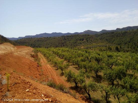 OPORTUNIDAD FINCA RUSTICA DE REGACIO CON CASA, ALMACENES Y POZO PROPIO EN TIVISSA. - TARRAGONA