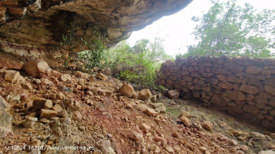  OPORTUNIDAD FINCA RUSTICA DE ,2 HAS. EN VINEBRE - TARRAGONA 