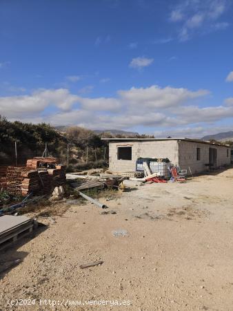  TERRENO RUSTICO EN AGOST (CON ALMACEN DE APEROS) - ALICANTE 