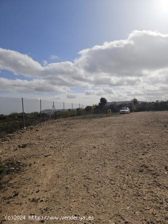 TERRENO RUSTICO EN AGOST (CON ALMACEN DE APEROS) - ALICANTE