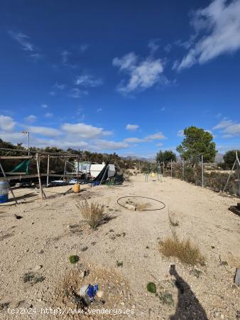 TERRENO RUSTICO EN AGOST (CON ALMACEN DE APEROS) - ALICANTE