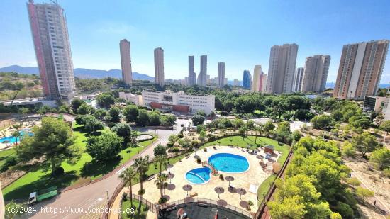 Se Vende en Benidorm - ALICANTE