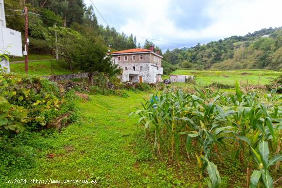 MAGNÍFICA CASA CON 51.000 METROS DE TERRENO - VIZCAYA