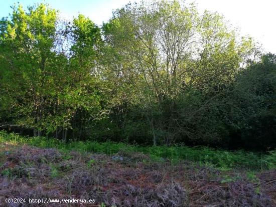 Finca rústica en Barenilla Quejo del Polígono 4 de Cubo - CANTABRIA