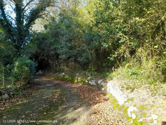 Finca rústica en Barenilla Quejo del Polígono 4 de Cubo - CANTABRIA