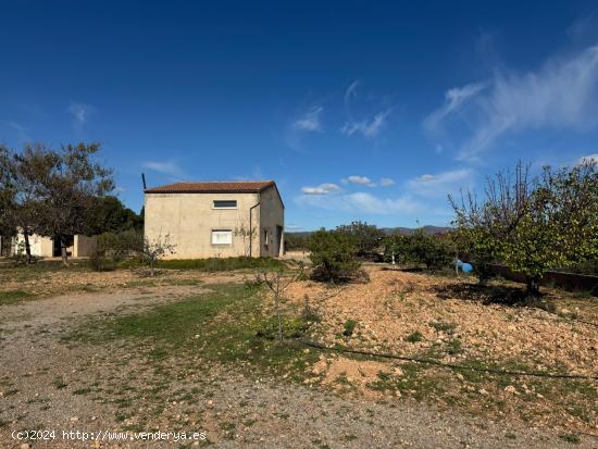  ALMACEN-VIVIENDA, CON TERRENO DE 9.177 M2 EN ZONA RURAL - VALENCIA 