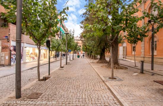 PROYECTA TU HOGAR EN LA  PLAZA DEL ROMEA  - MURCIA