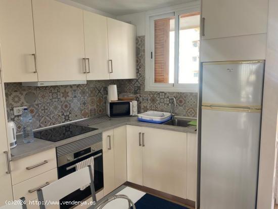 Se ALQUILA apartamento de dos dormitorios en Los Cristianos - SANTA CRUZ DE TENERIFE