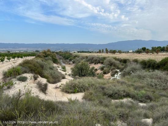 TERRENO RUSTICO - MURCIA